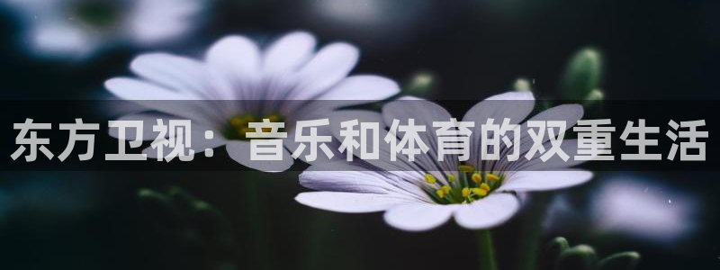东方卫视：音乐和体育的双重生活