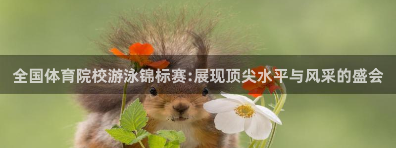 全国体育院校游泳锦标赛:展现顶尖水平与风采的盛会