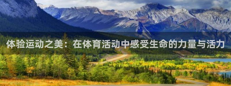 体验运动之美：在体育活动中感受生命的力量与活力