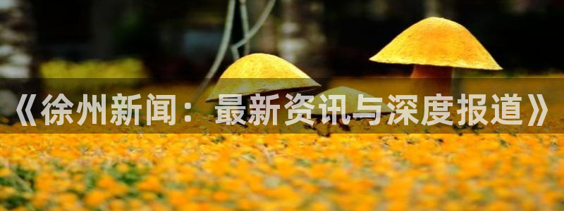 《徐州新闻：最新资讯与深度报道》