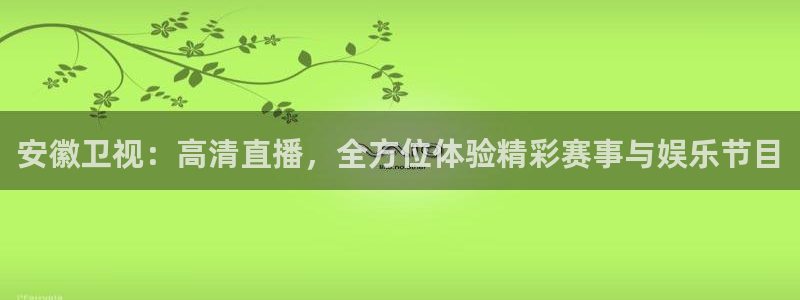 安徽卫视：高清直播，全方位体验精彩赛事与娱乐节目