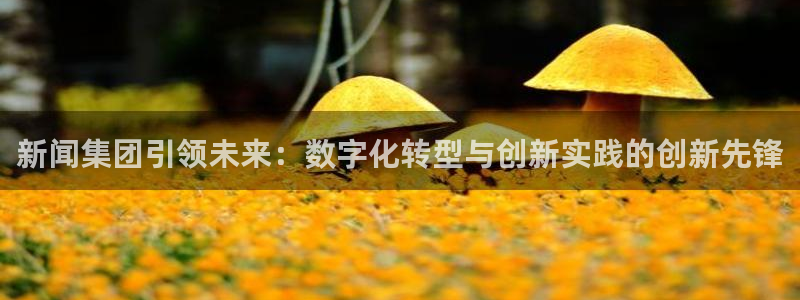 新闻集团引领未来：数字化转型与创新实践的创新先锋